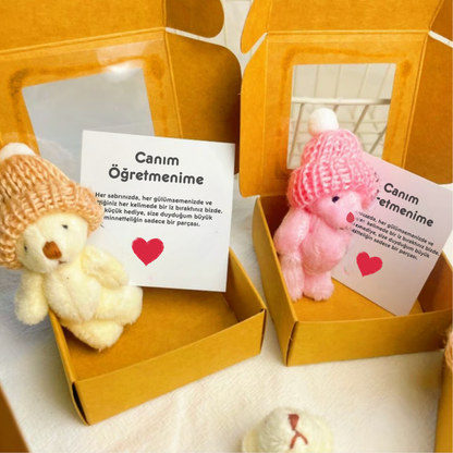 ''Öğretmenime'' Hediye Kutusu
