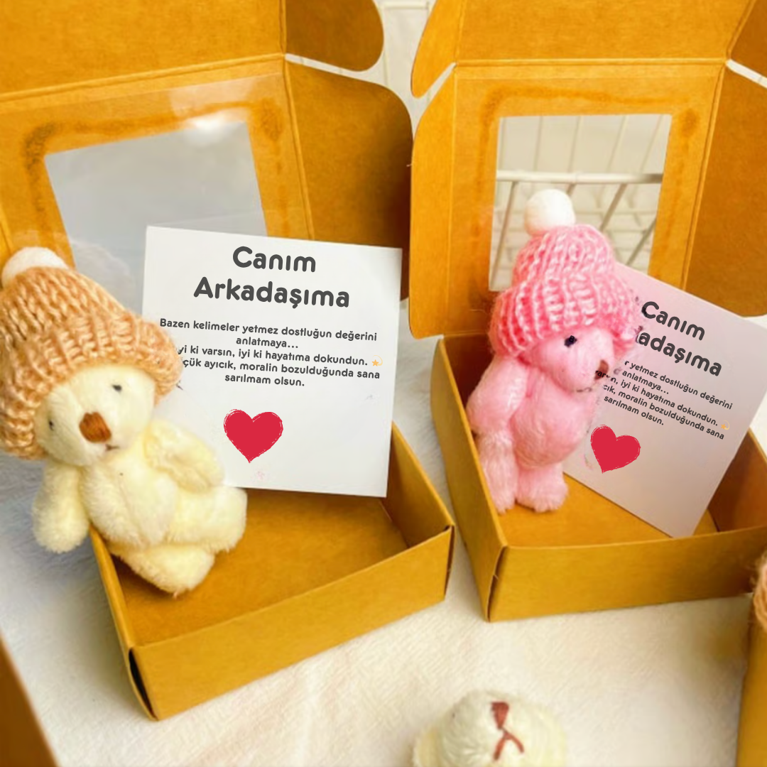 ''Canım Arkadaşıma'' Hediye Kutusu